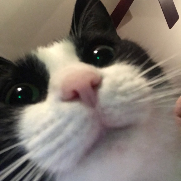 Meet your Posher, Lindsay - Picture 4 of 7